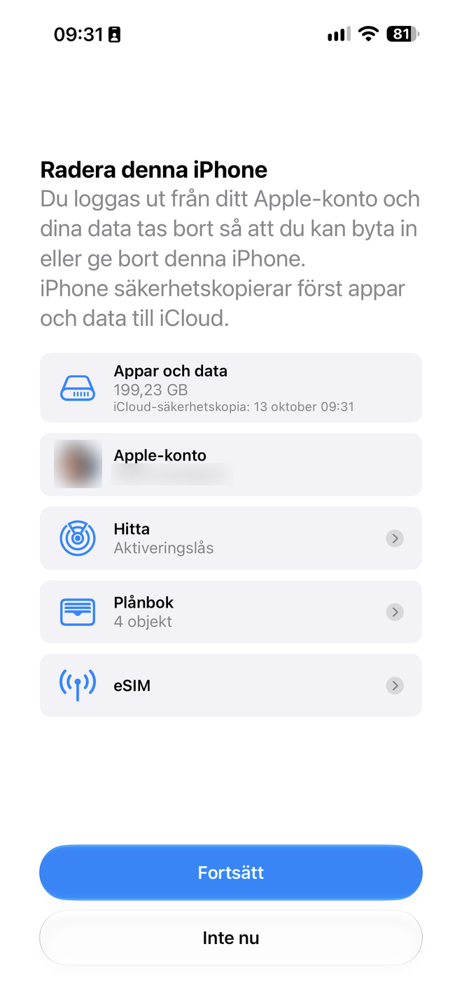 Skärmen Radera denna iPhone med knappen Fortsätt markerad.